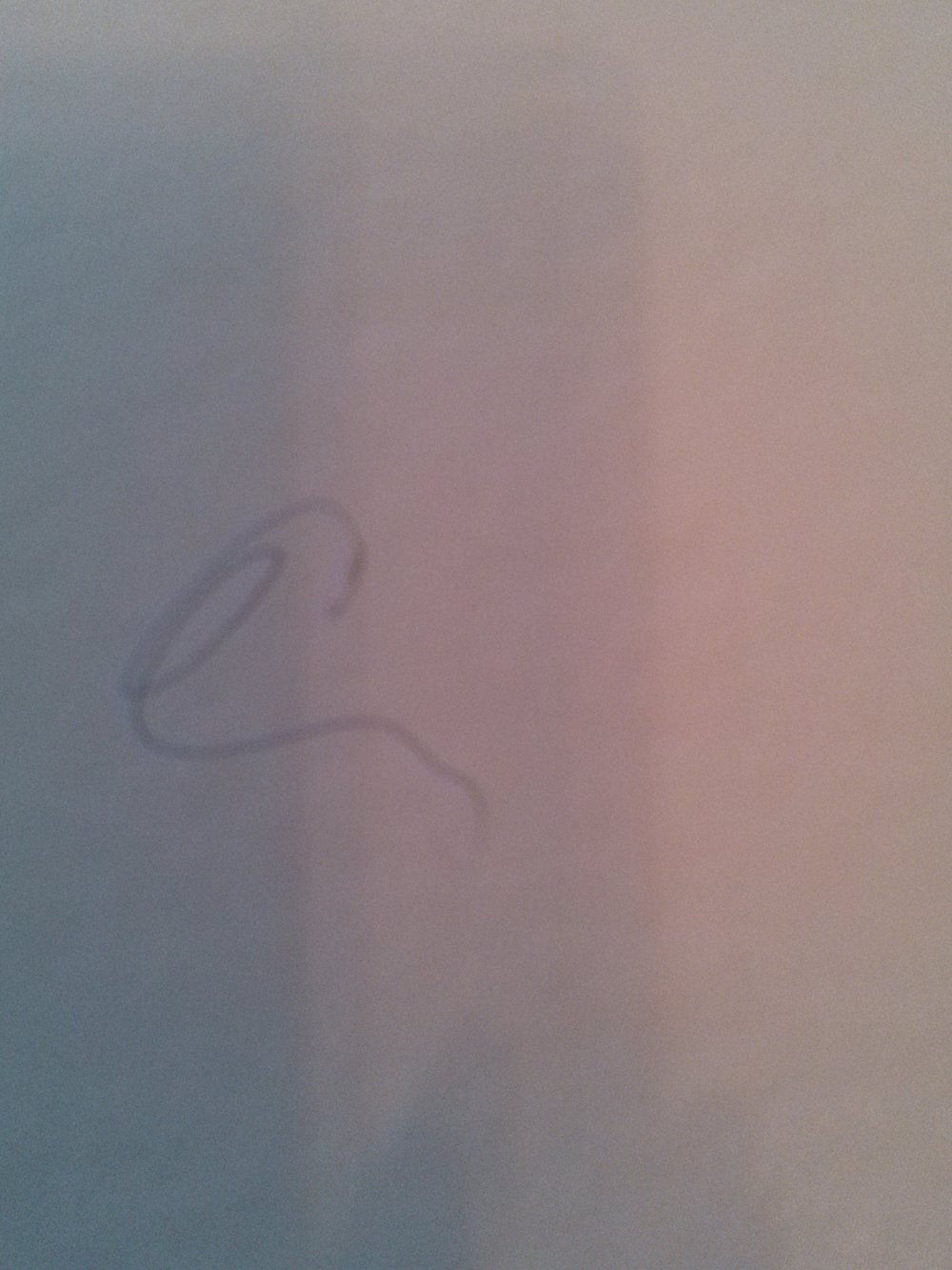 Tolles Wissensbuch ; Wunderbare Tierwelt ( grün ) ; Lingen