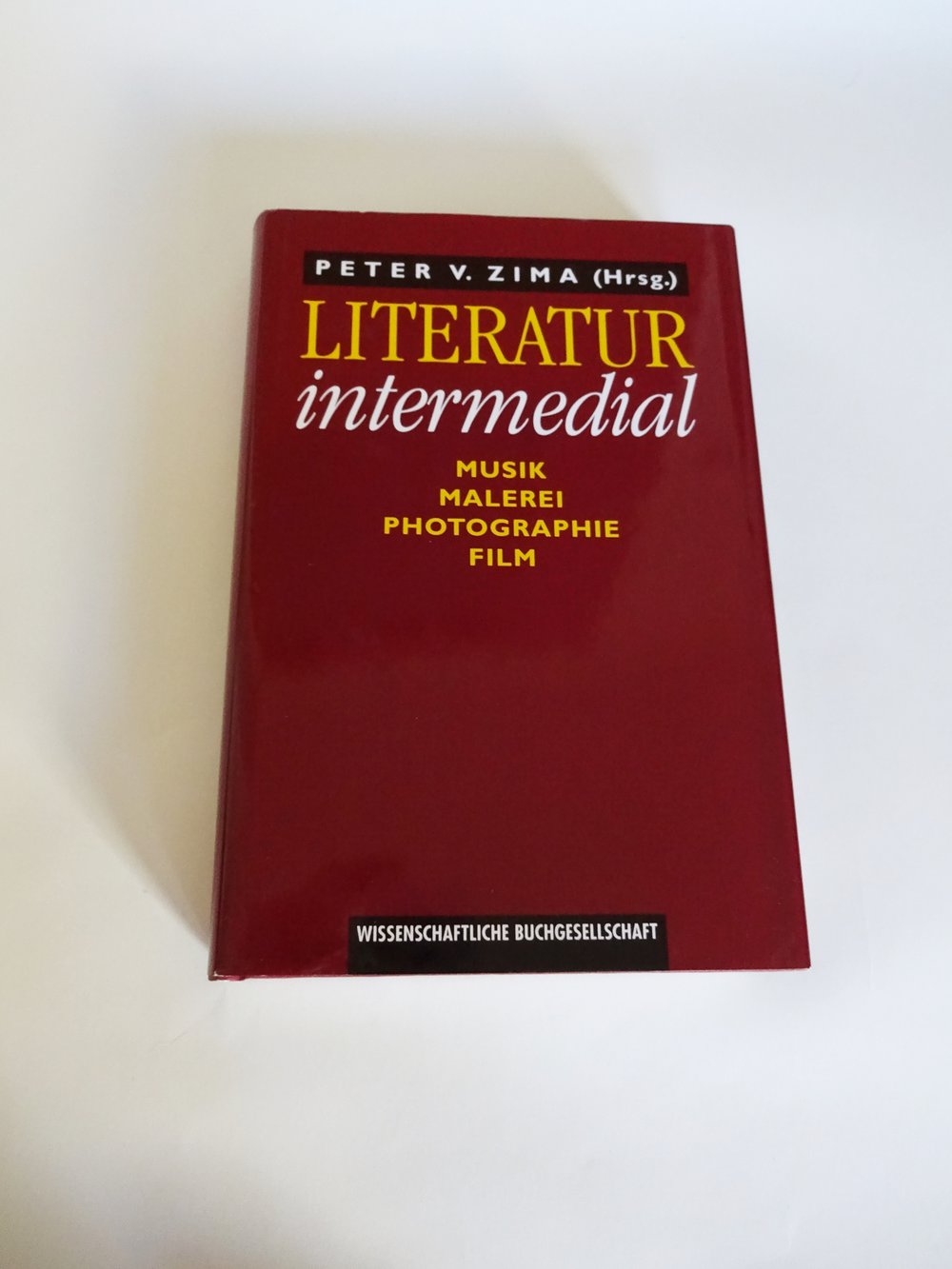 Literatur intermedial