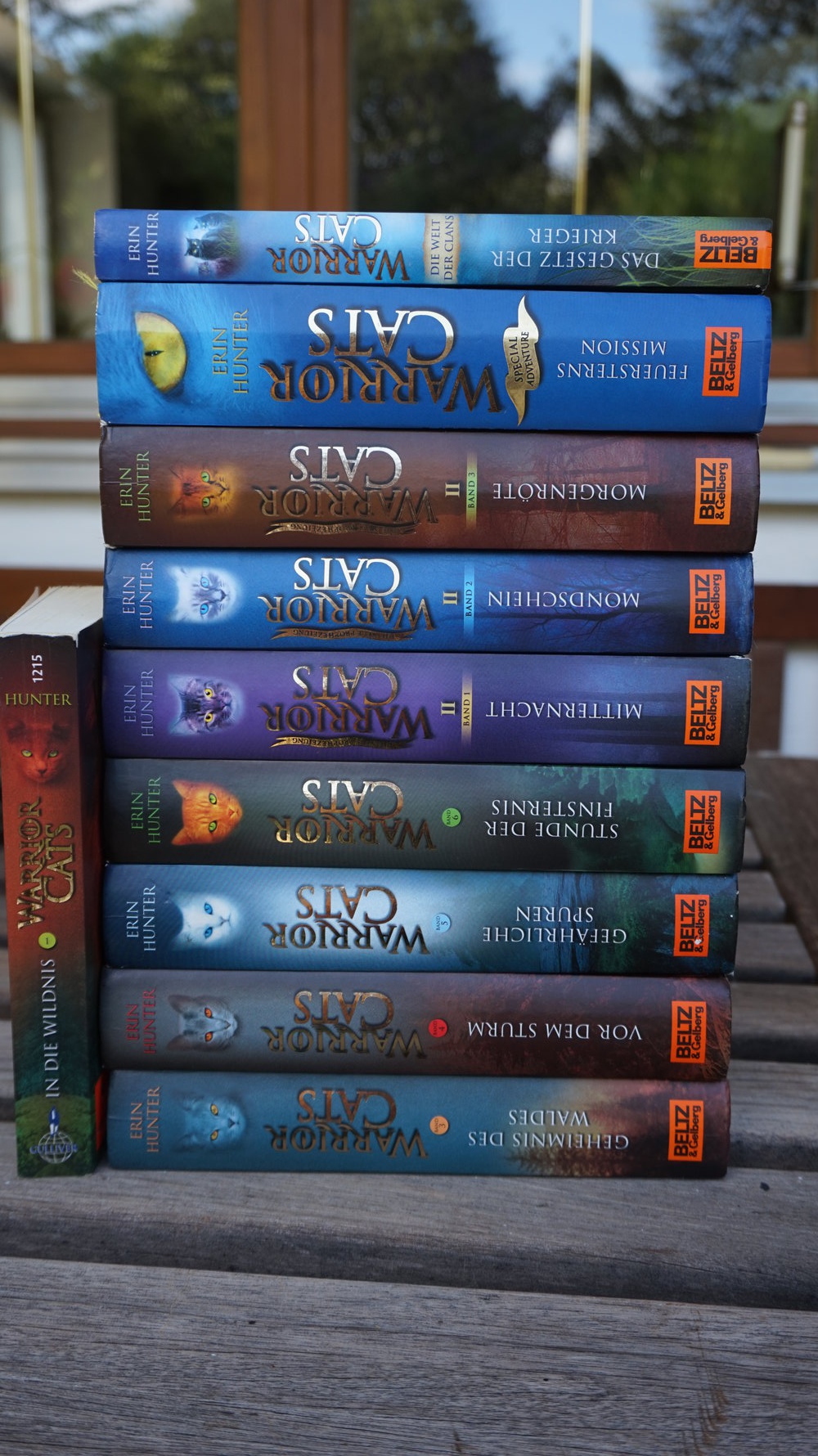 WarriorCats Staffel 1 komplett! (6 Bände)