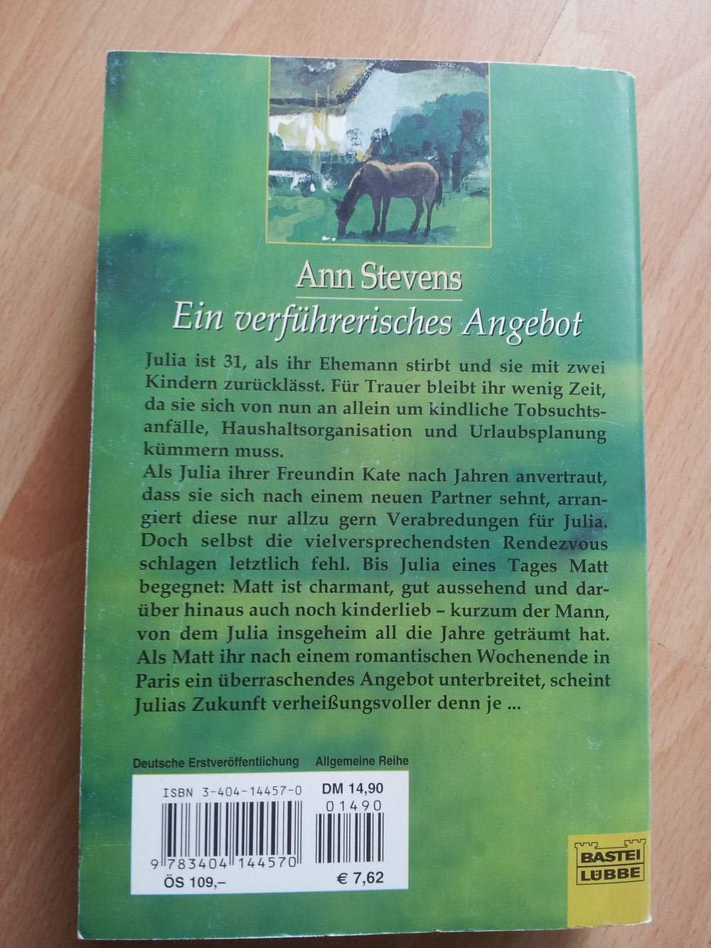 Ein verführerisches Angebot - Ann Stevens 