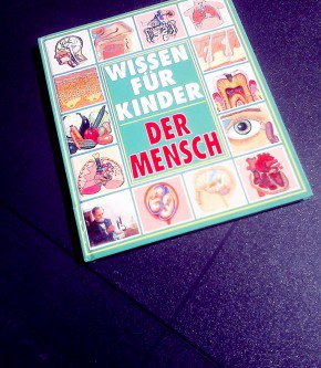 Wissen für Kinder - Der Mensch