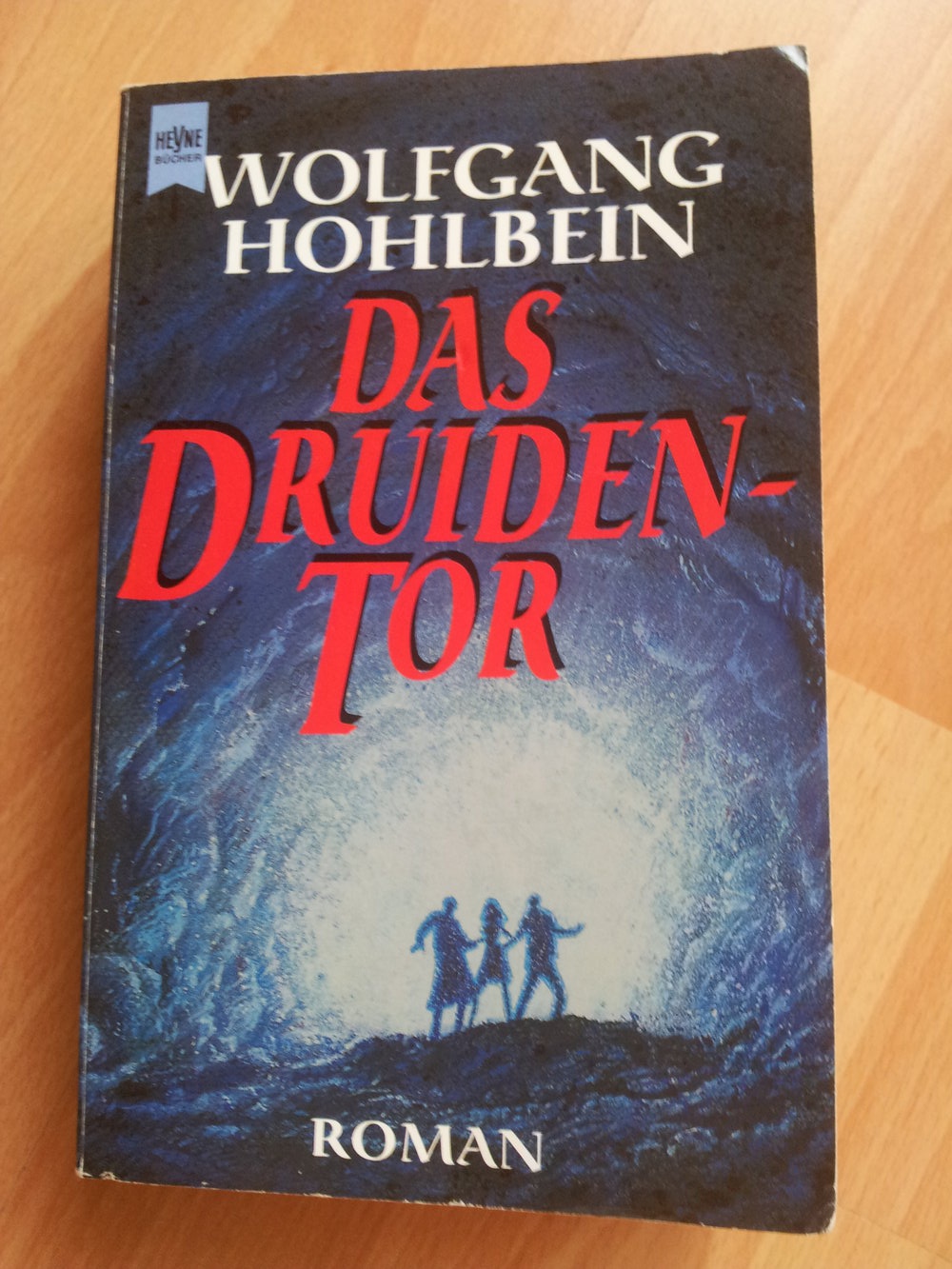  Buch - Das Druidentor - Wolfgang Hohlbein