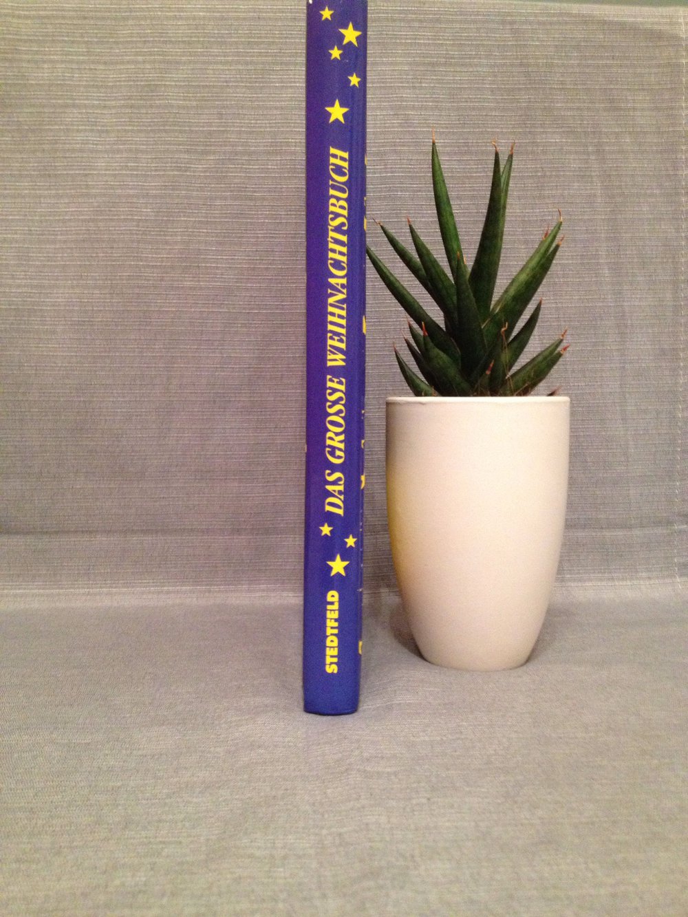 Das große Weihnachtsbuch 