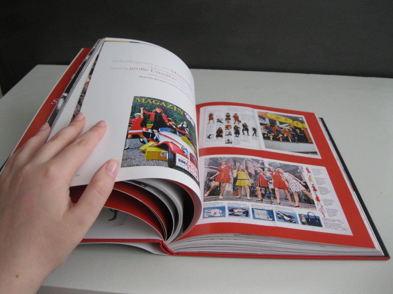 Der Minirock. Die Revolution - Die Macher - Die Ikonen 