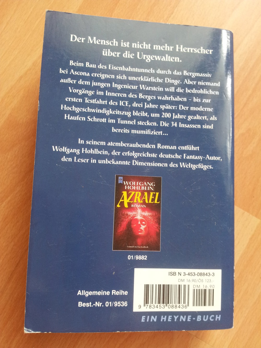  Buch - Das Druidentor - Wolfgang Hohlbein