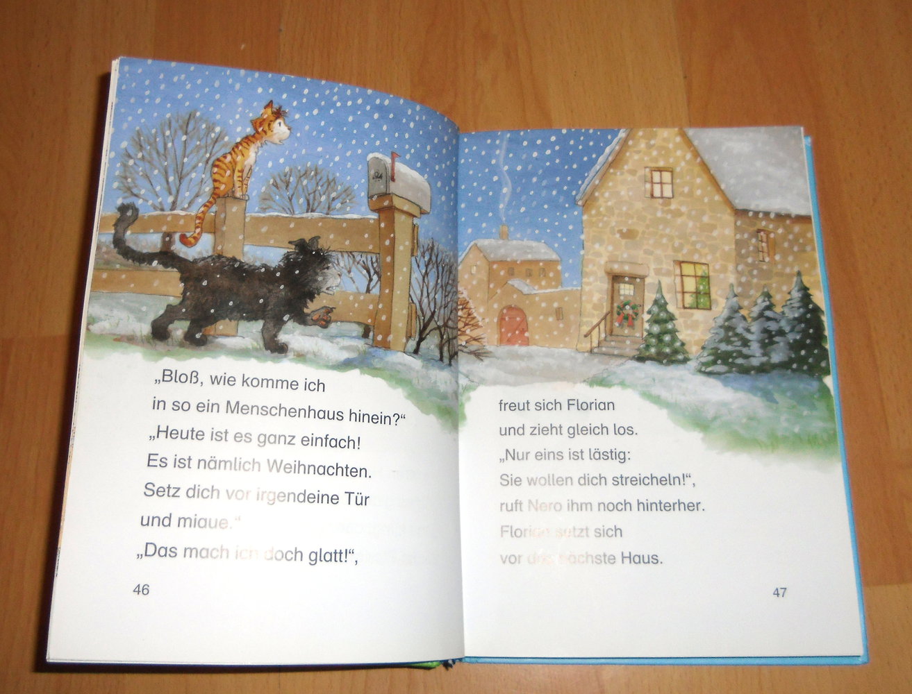 33 Lesepiraten-Geschichten für Erstleser