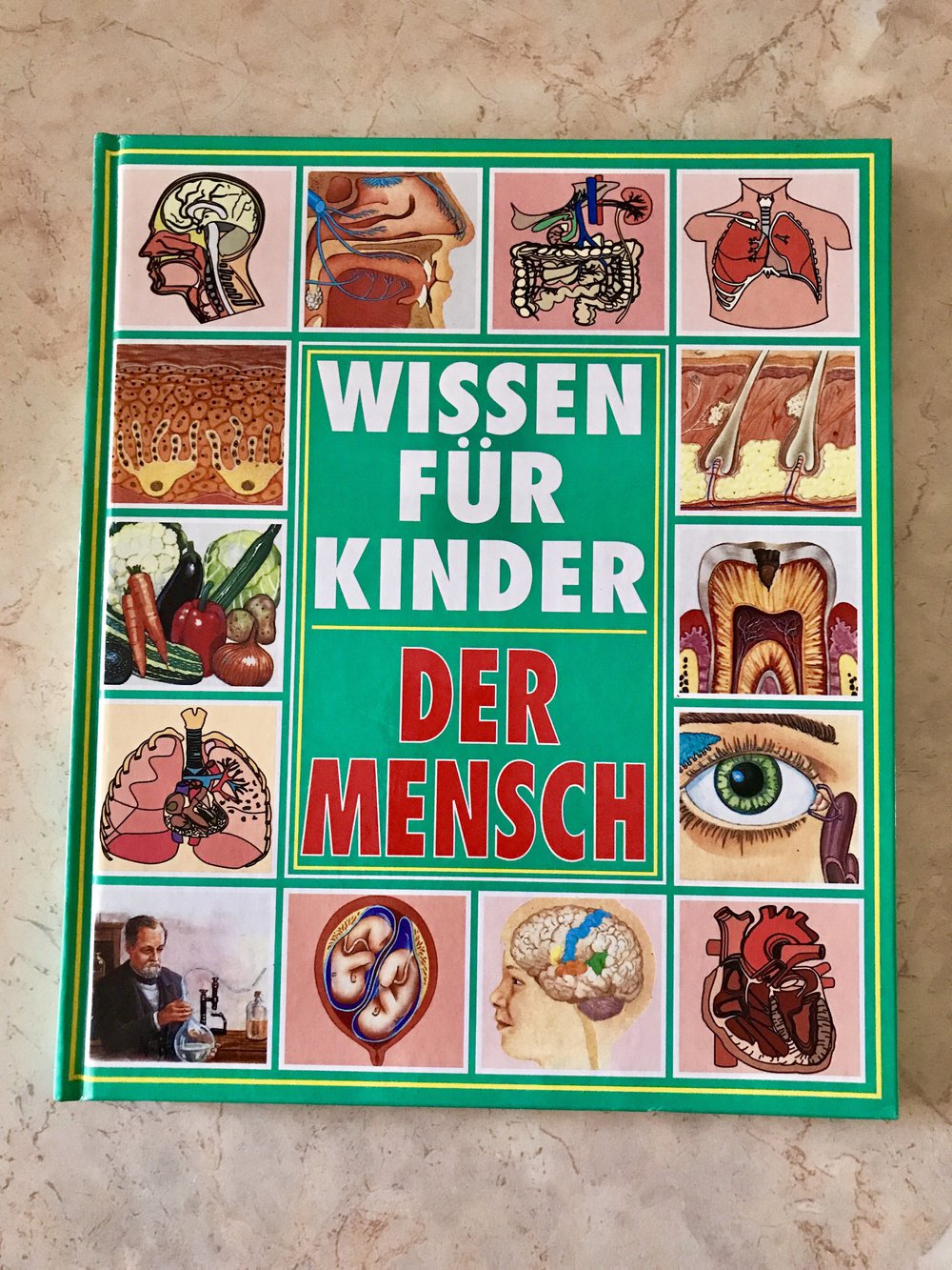 WISSEN FÜR KINDER  DER MENSCH