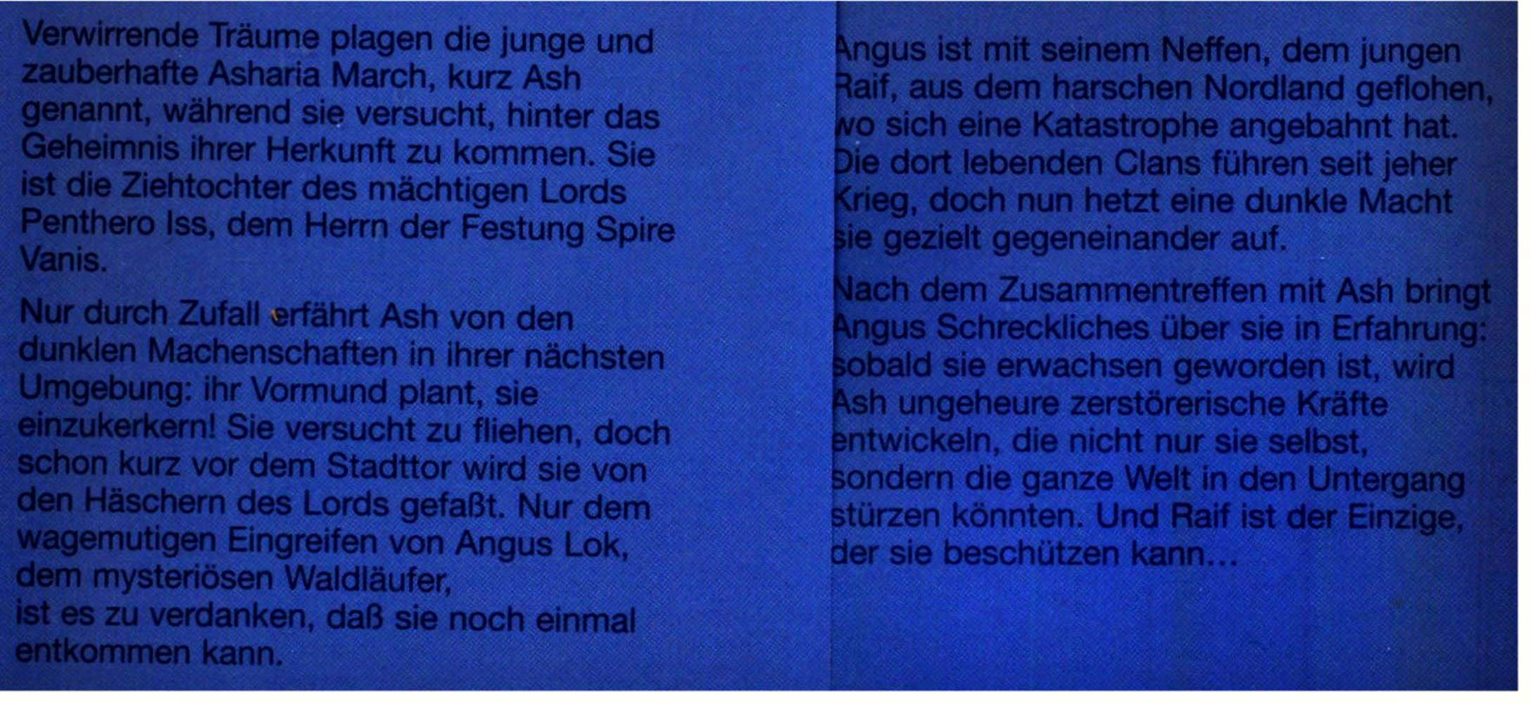 Das dunkle Herz der Nacht - Das Schwert der Schatten 1