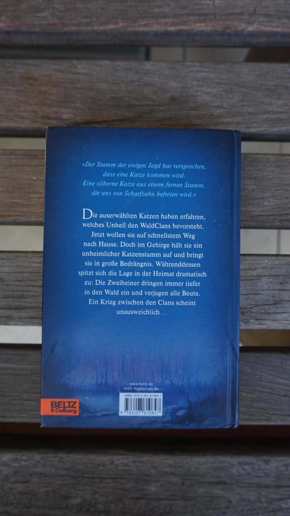 WarriorCats Staffel 2 Band 2