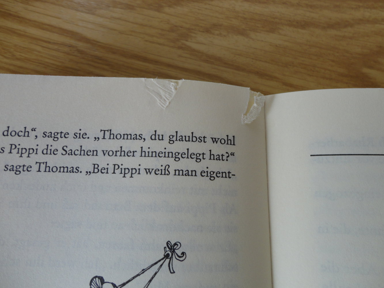 Pippi Langstrumpf Buch