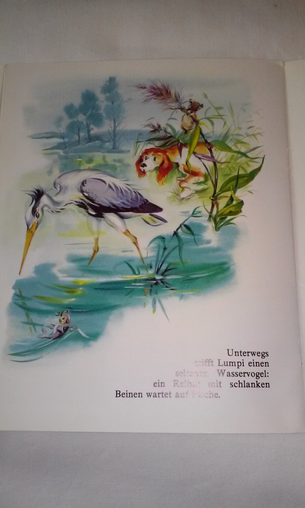 Lumpi am See - Wir entdecken die Natur  Kinderbuch antik Sammlerstück Rarität