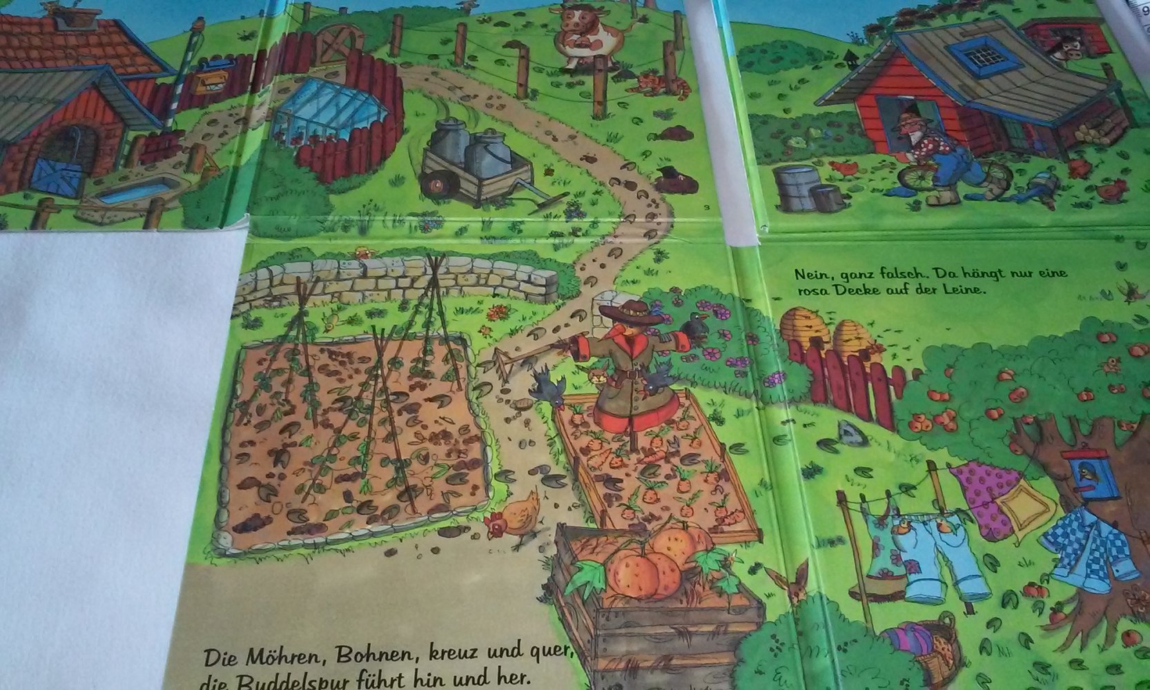 Rosalie das Schwein ist weg! Kinderbuch/Pappbilderbuch