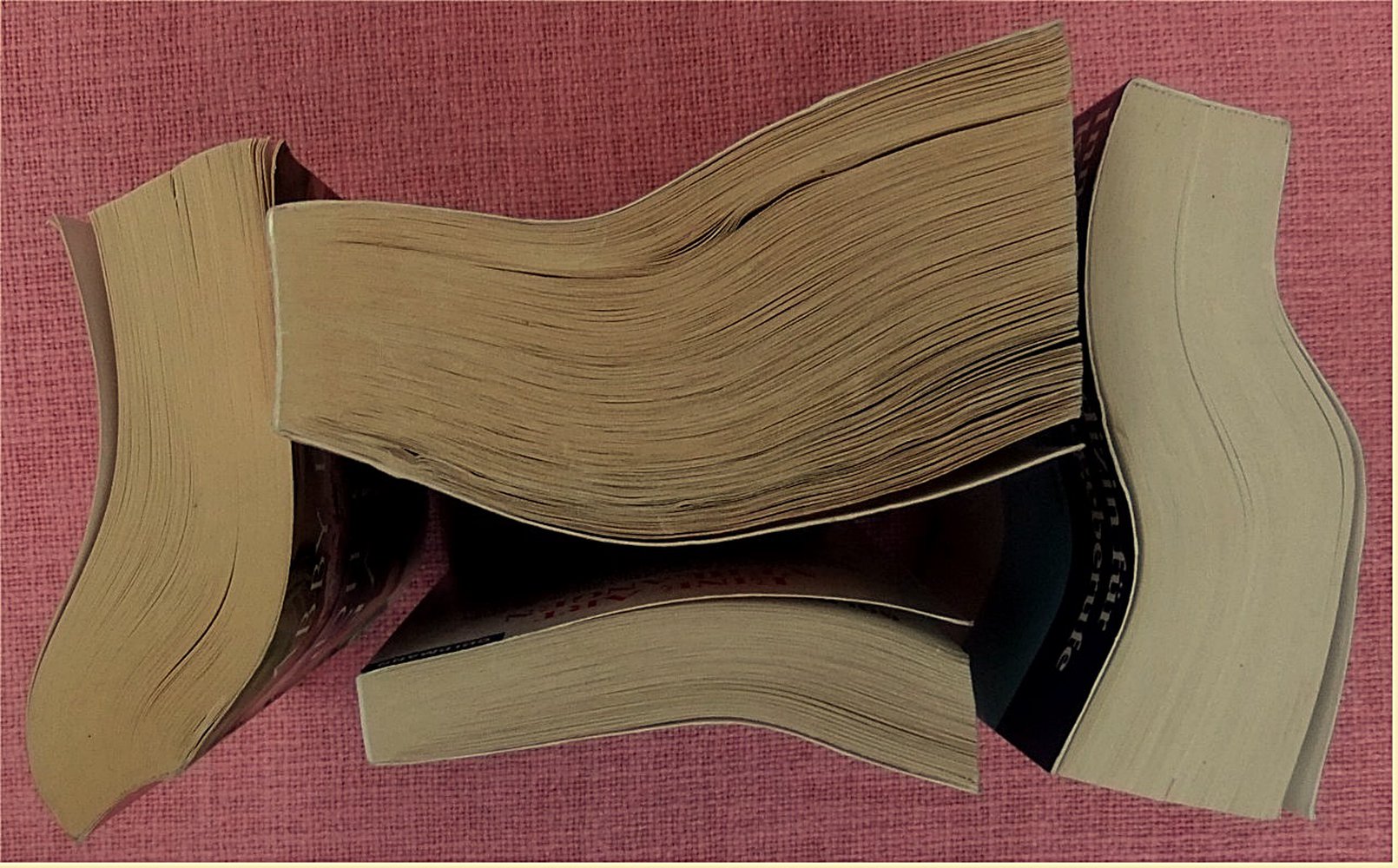 Bücherpaket mit 11 verbogenen, krummen Büchern - Die Prophetin von Luxor - Die Erde bewahren - Ein Fremder im Spiegel - Die gute Gattin