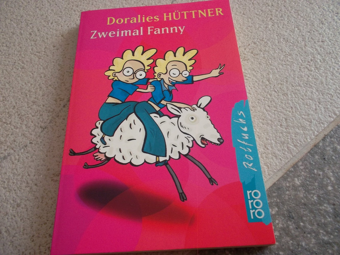 zweimal fanny,tolles kinderbuch,doralies hüttner