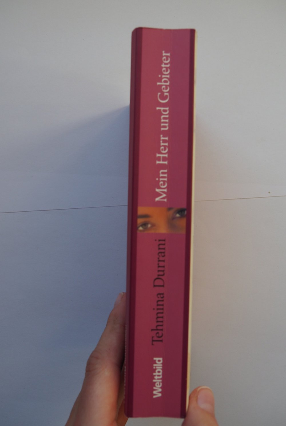 Roman: 	 Mein Herr und Gebieter - Ich war die Begum des Löwen vom Punjab von Tehmina Durrani