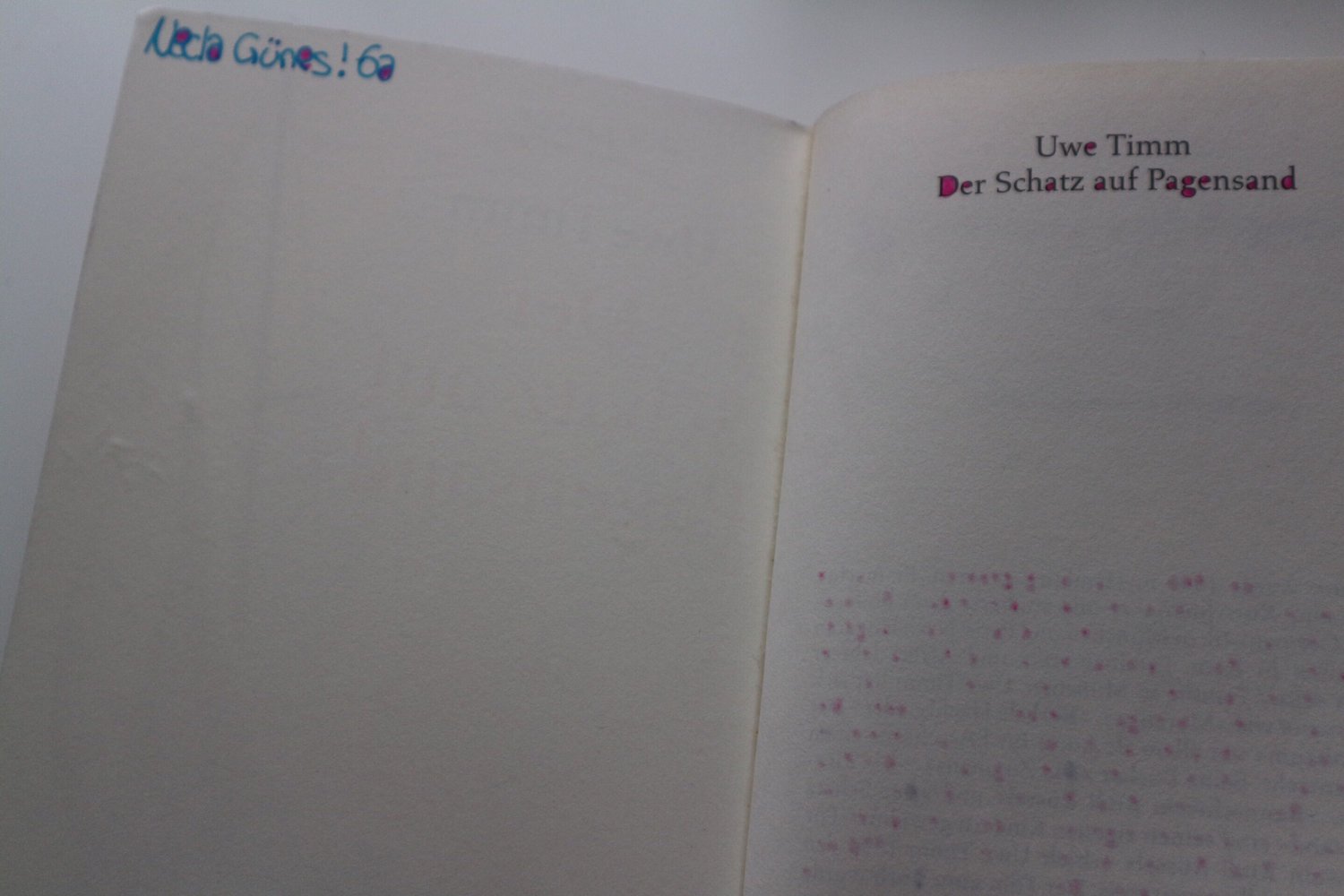 Der Schatz auf Pagensand