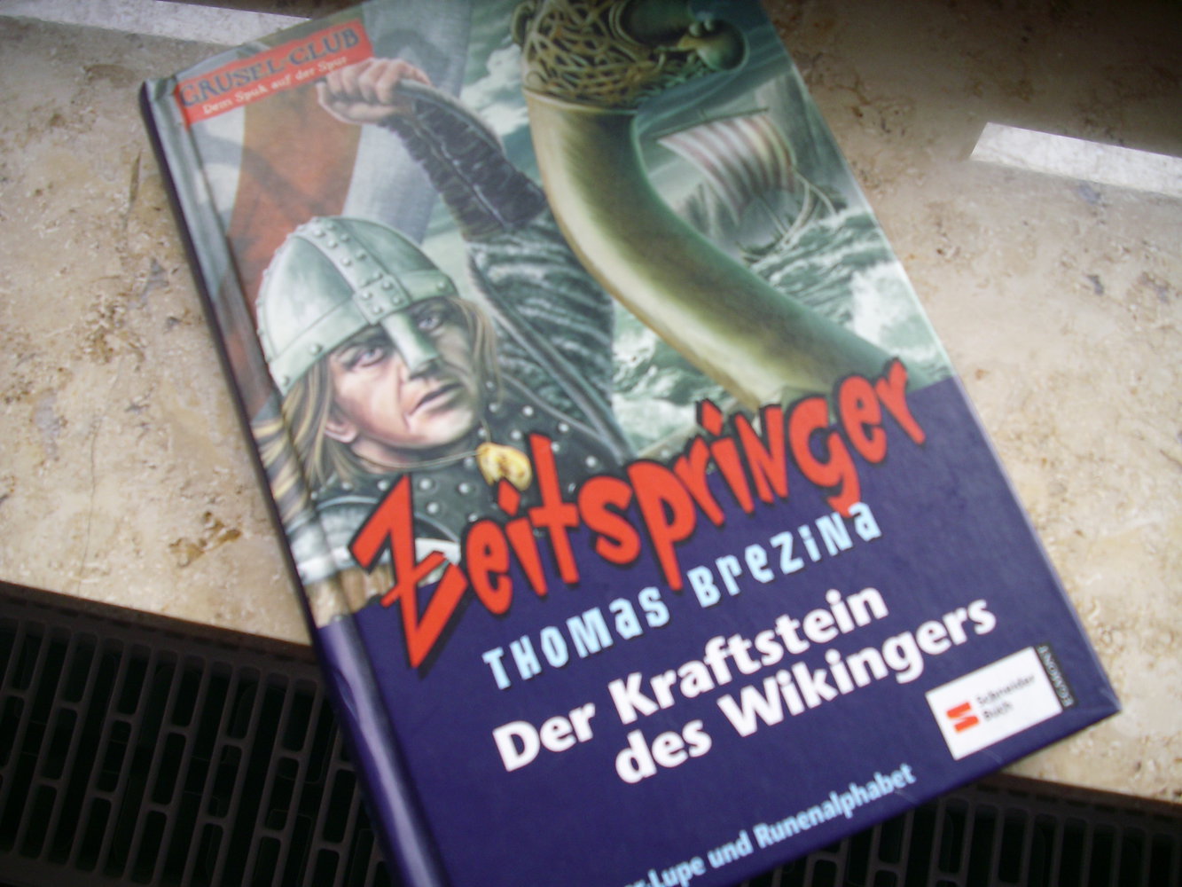 Der Kraftstein des Wikingers, Zeitspringer, Jugendbuch