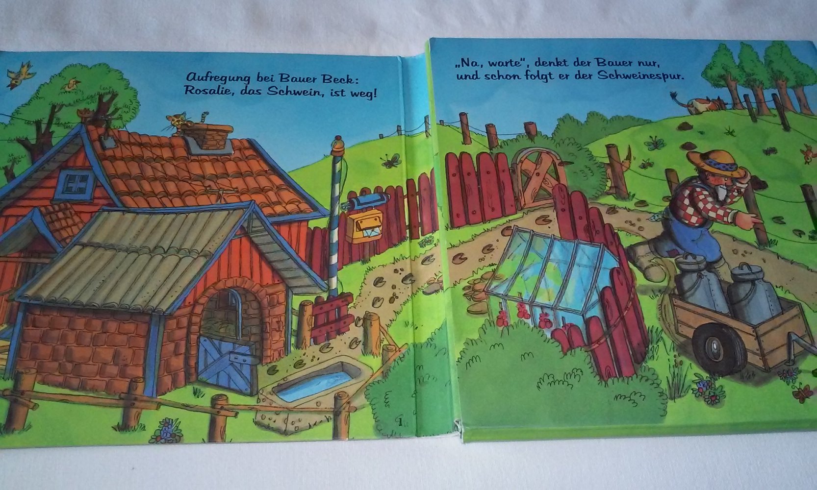 Rosalie das Schwein ist weg! Kinderbuch/Pappbilderbuch