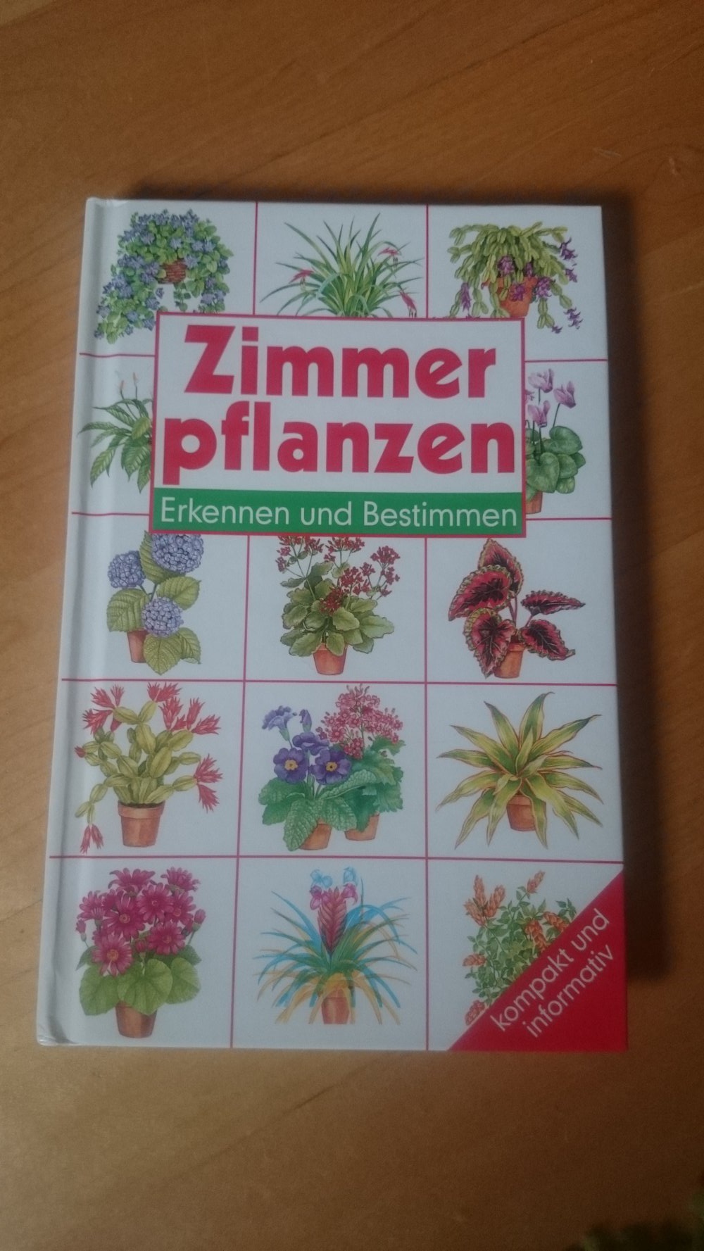 Zimmerpflanzen. Erkennen und Bestimmen.
