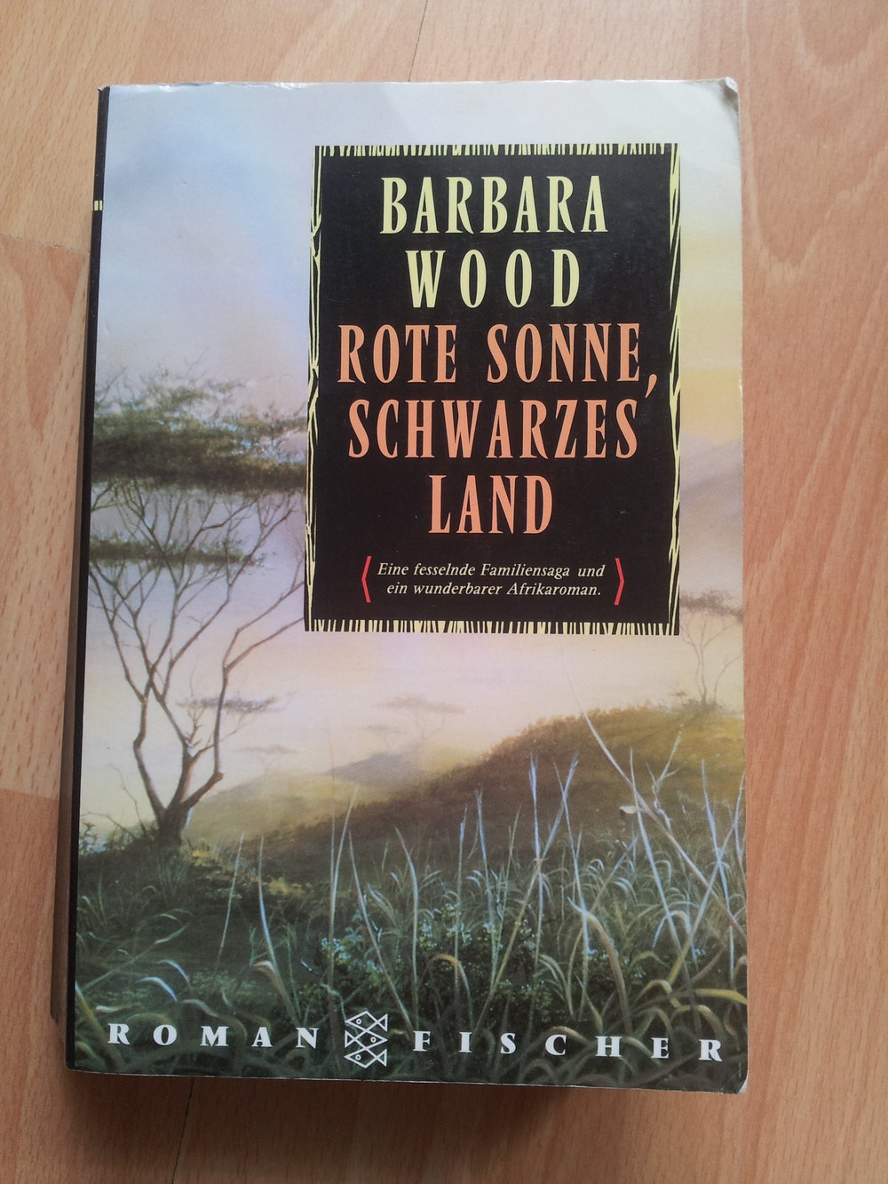 Buch - Rote Sonne, Schwarzes Land - Barbara Wood