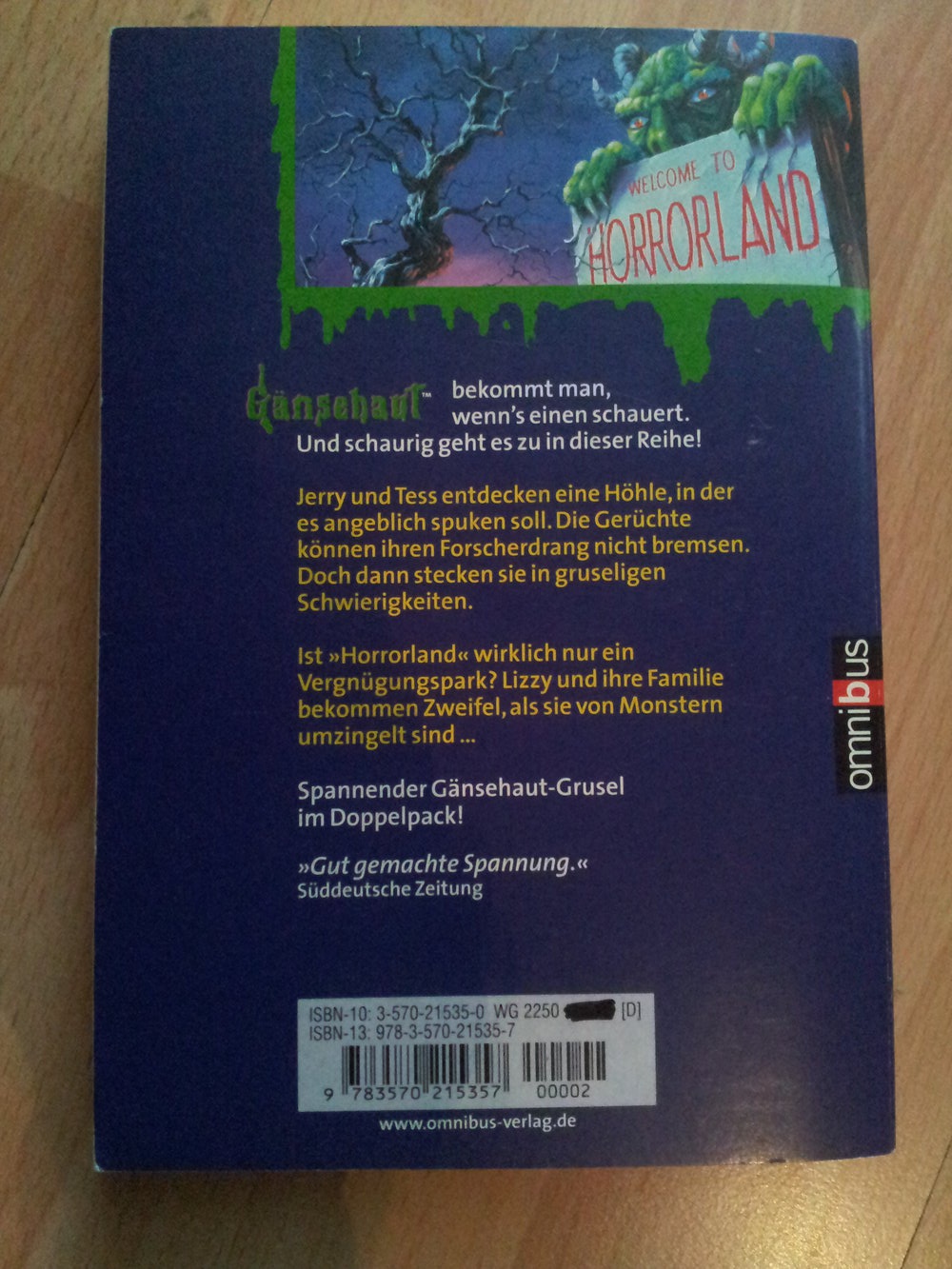 Gänsehaut - Doppelschocker 20 - R.L. Stine- 2in1 Taschenbuch