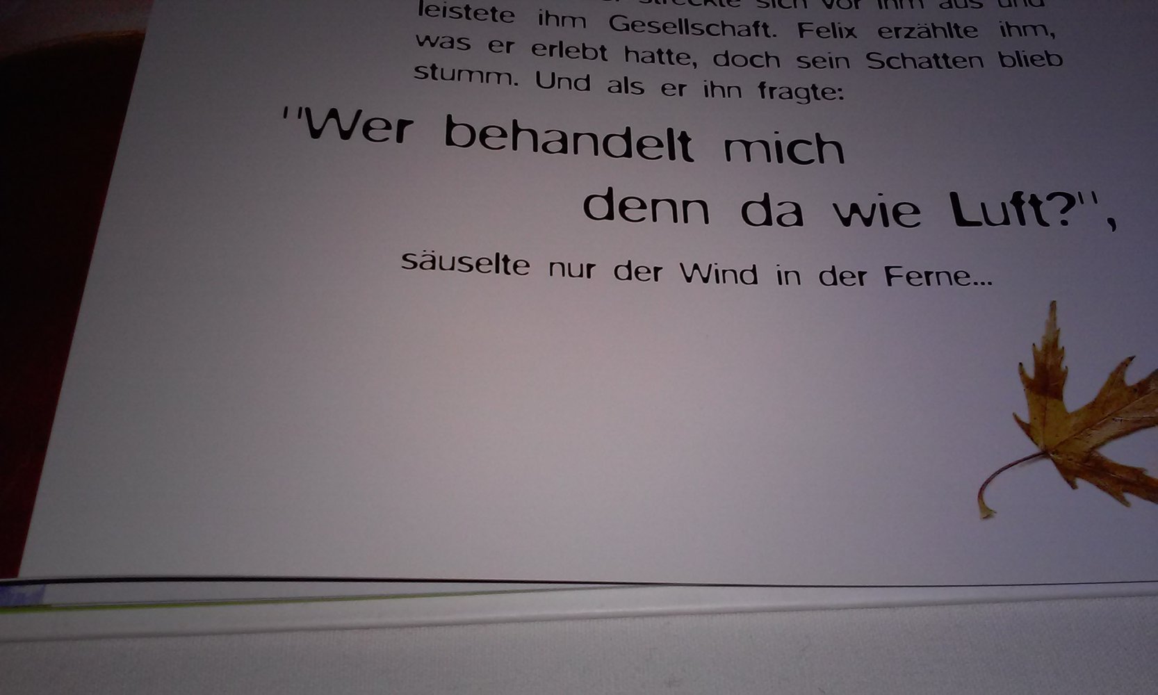 Ambre, Felix & Du Kinderbuch neuwertig Geschenktipp