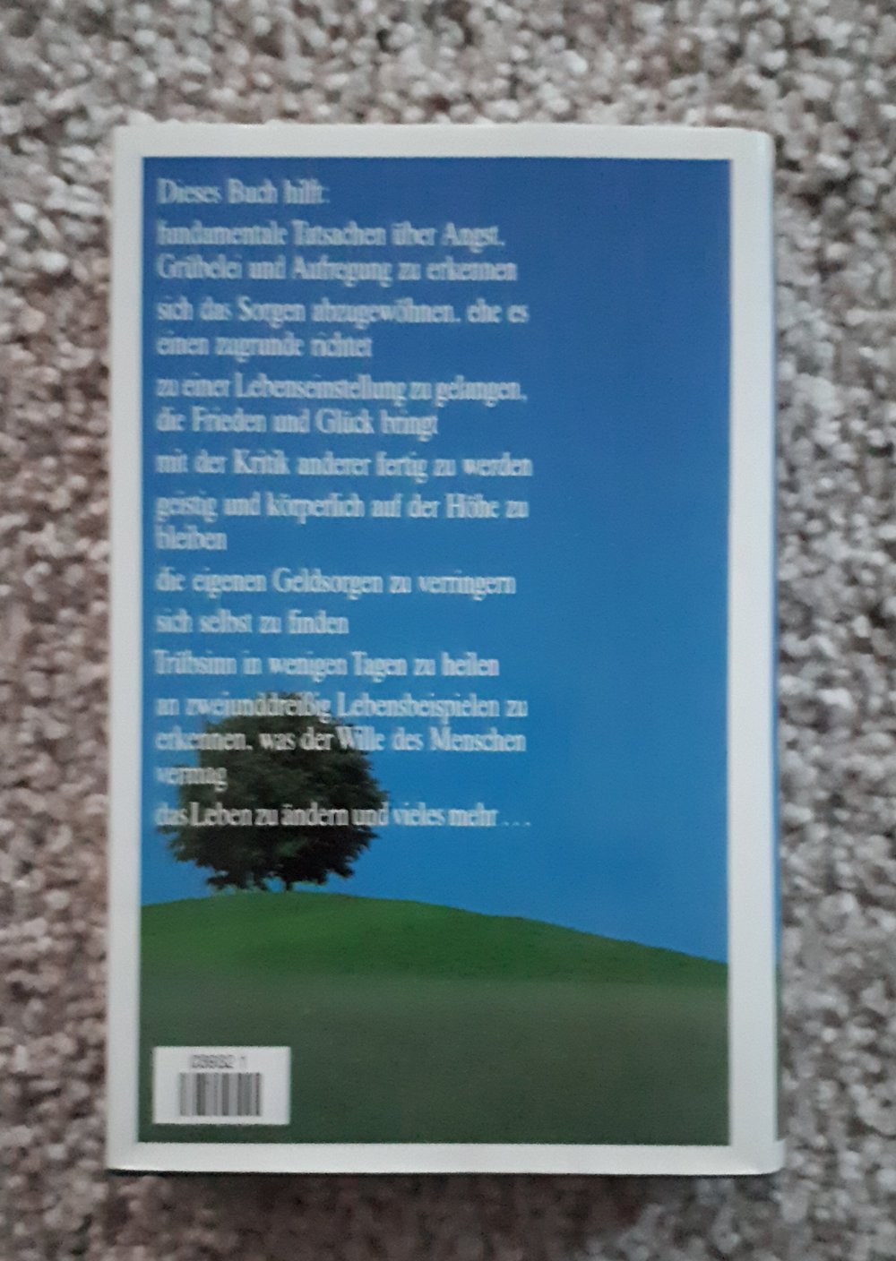 Sorge dich nicht-lebe!