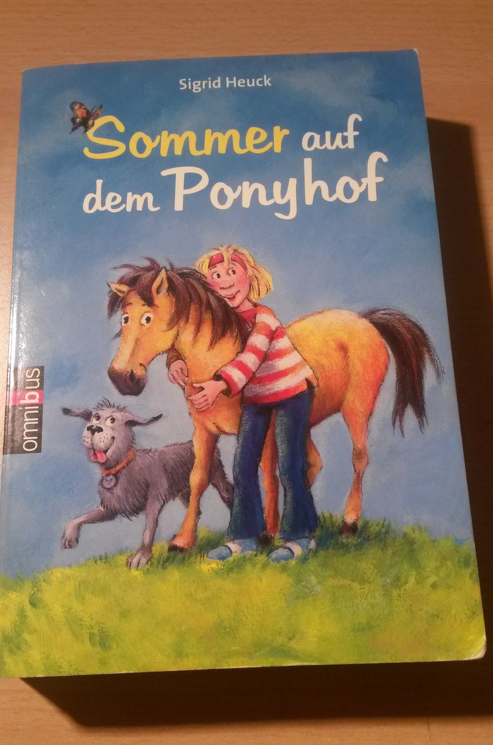 Sommer auf dem Ponyhof (Buch)