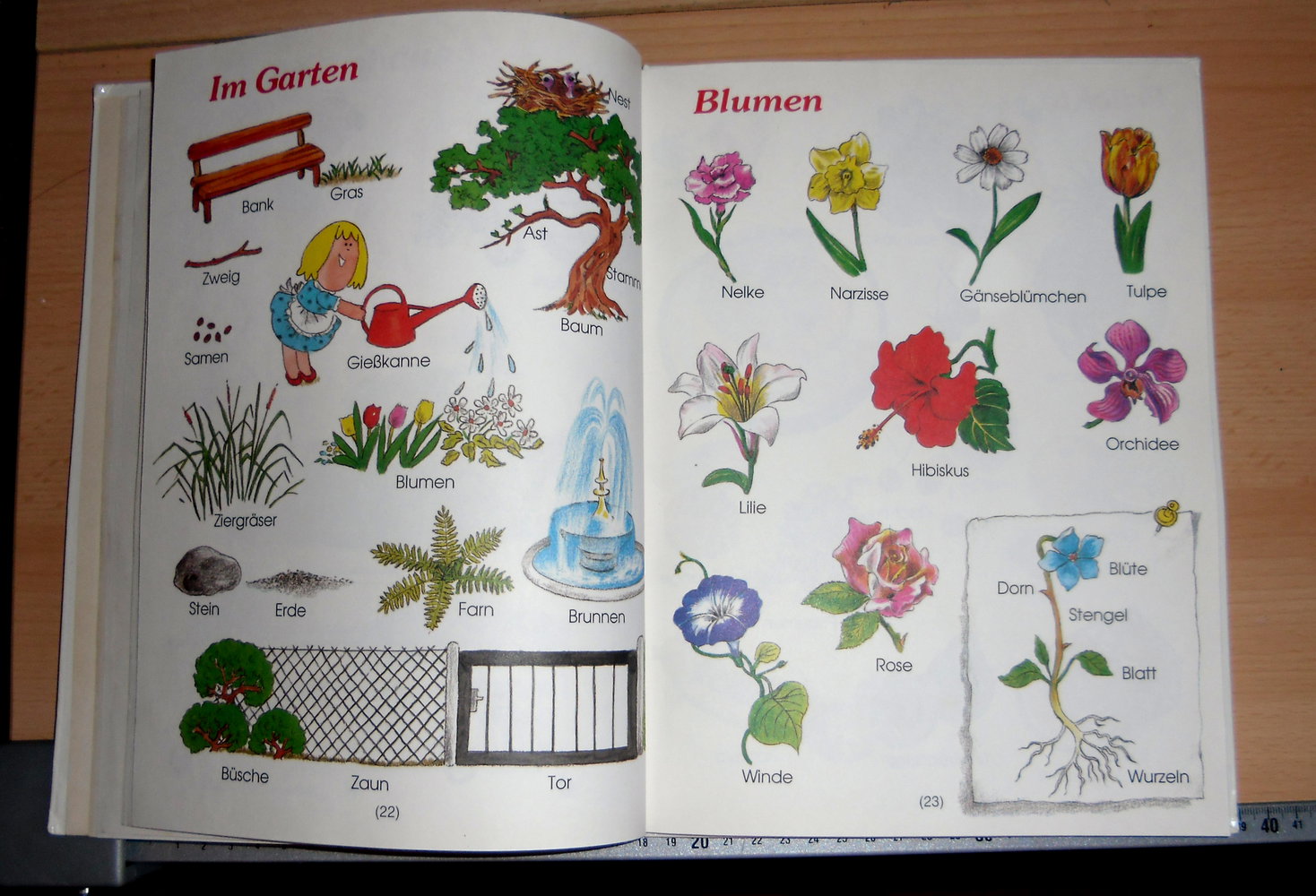 1000 Wörter - 1000 Bilder