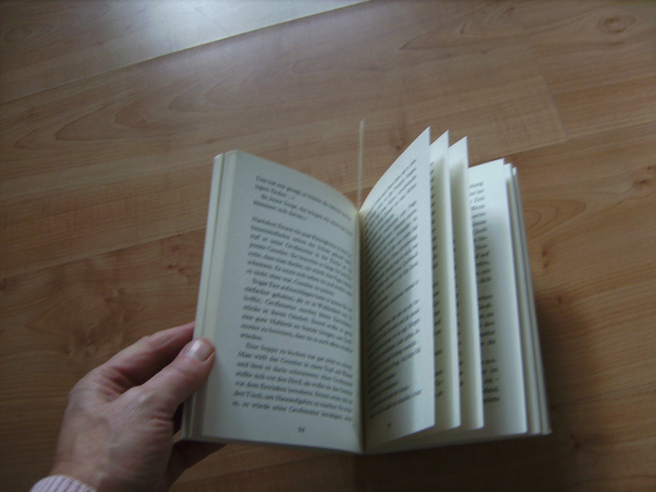 Die Farben des Lebens, Susie Morgenstern, Omnibus Verlag, Jugendbuch