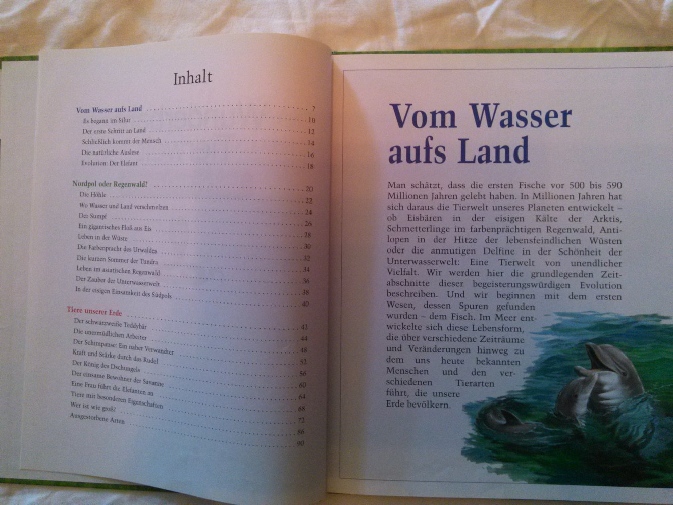 Tolles Wissensbuch ; Wunderbare Tierwelt ( grün ) ; Lingen