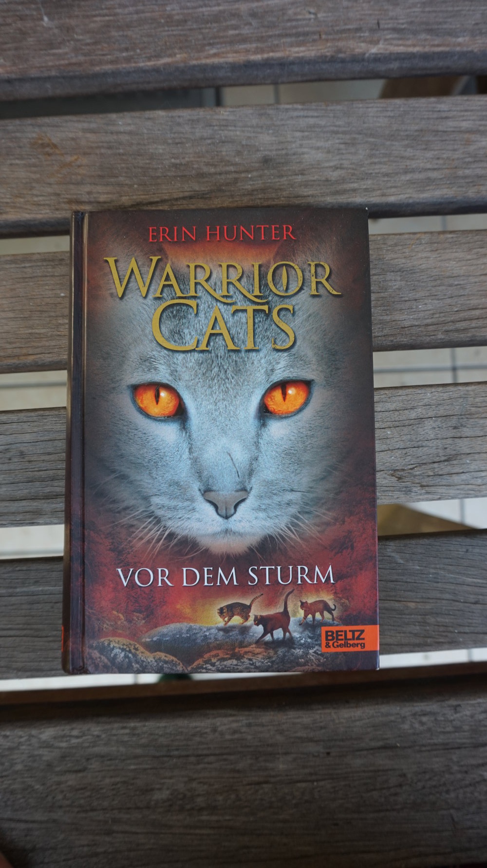 WarriorCats Staffel 1 BAND 4