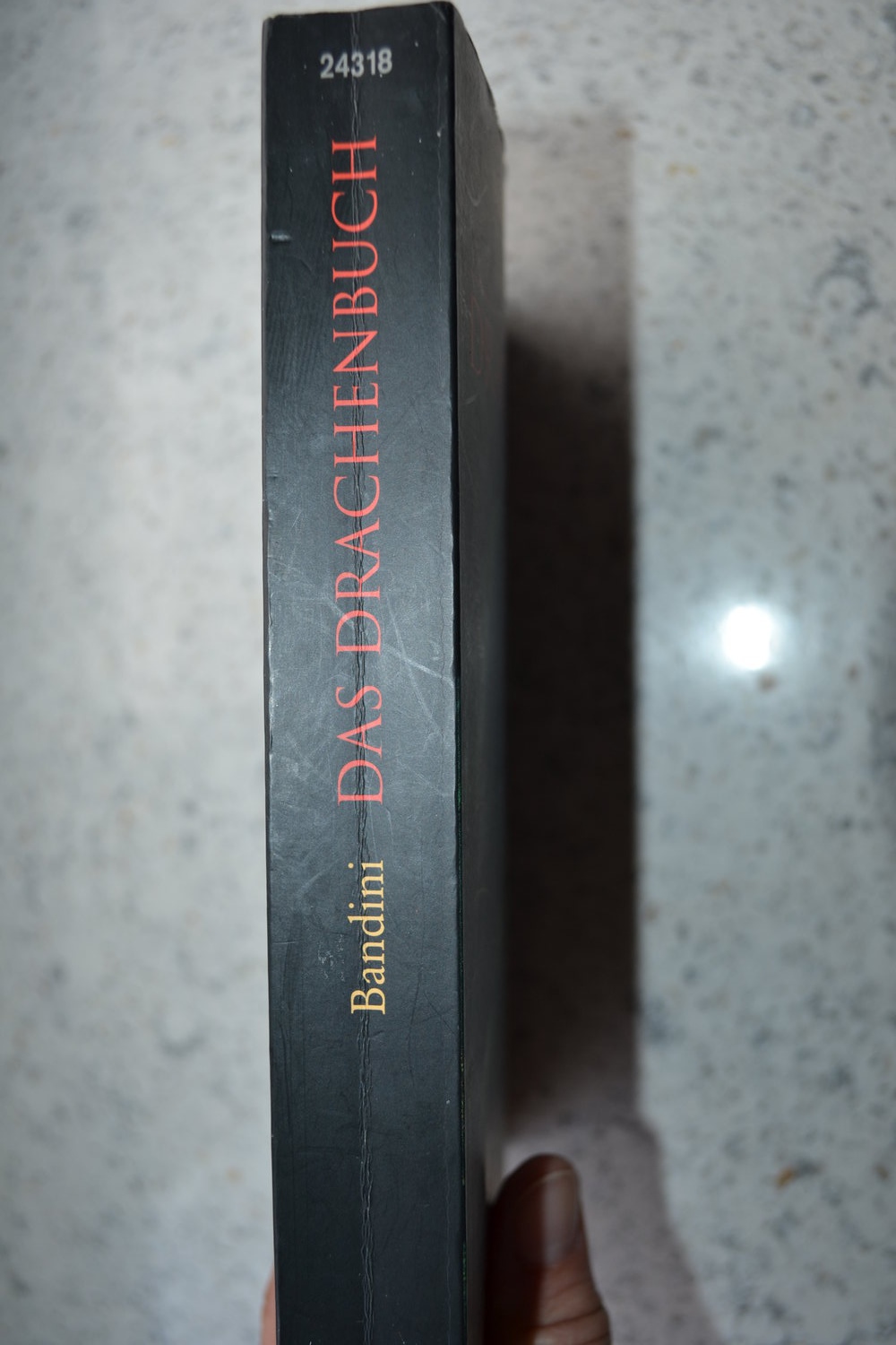 Das Drachenbuch - Der Drache lebt!