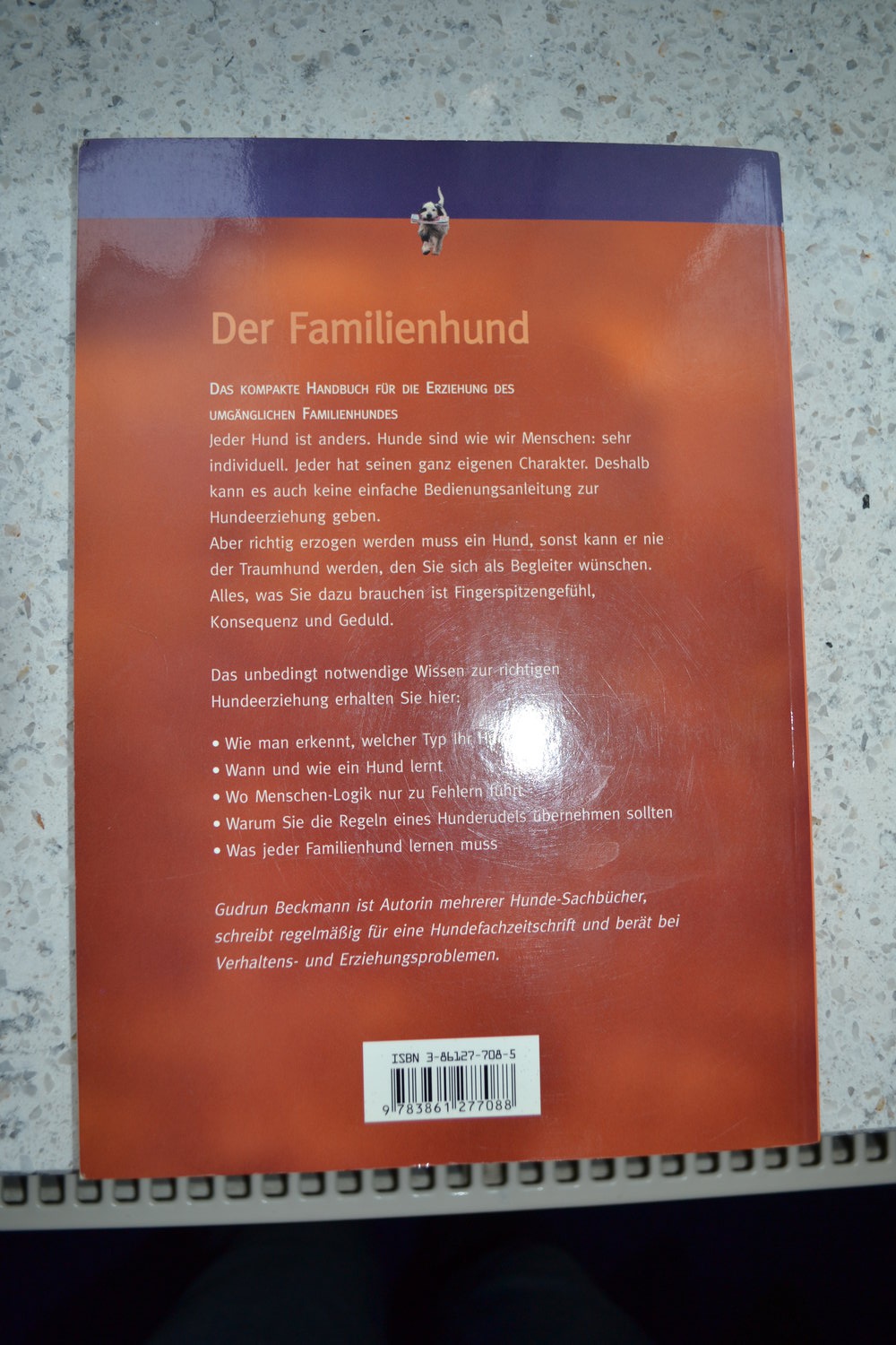 Der Familienhund, so erziehen sie ihn richtig