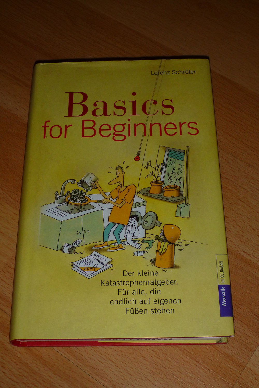 Buch: Basics for Beginners: Der kleine Katastrophenratgeber. Für alle, die endlich auf eigenen Füßen stehen