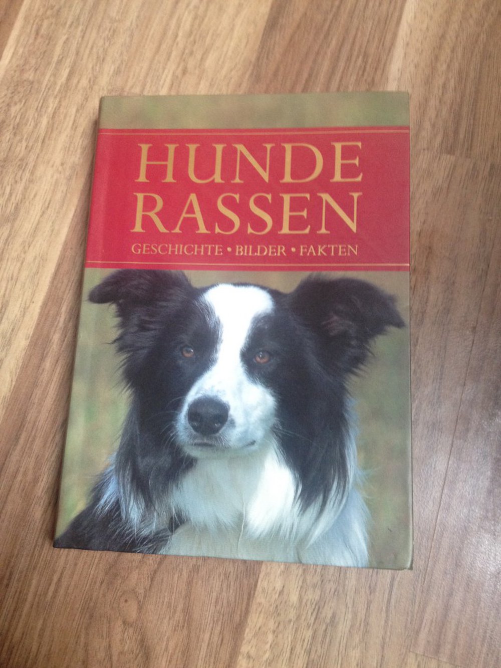 Hunde Rassen: Geschichte Bilder Fakten