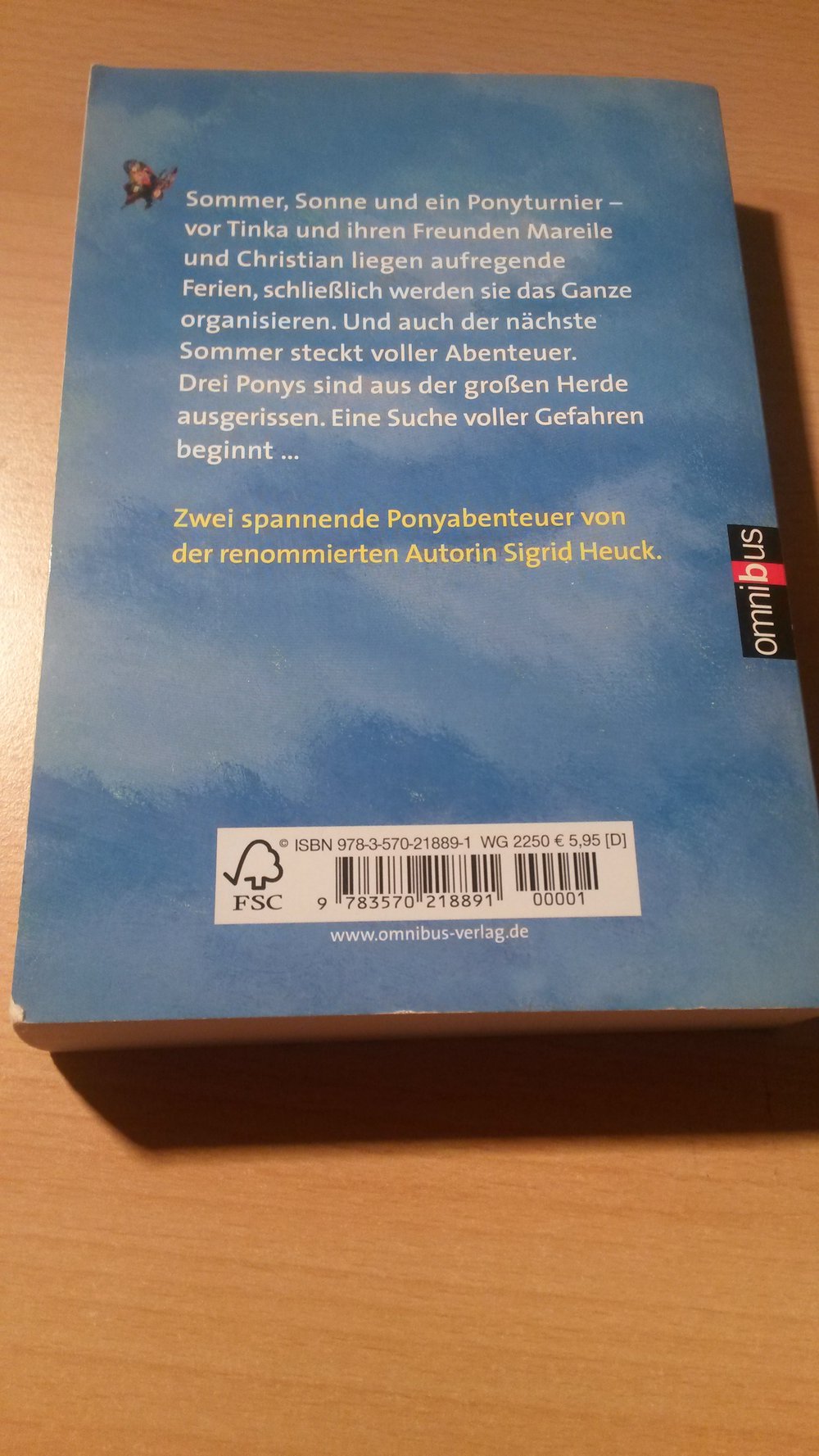 Sommer auf dem Ponyhof (Buch)