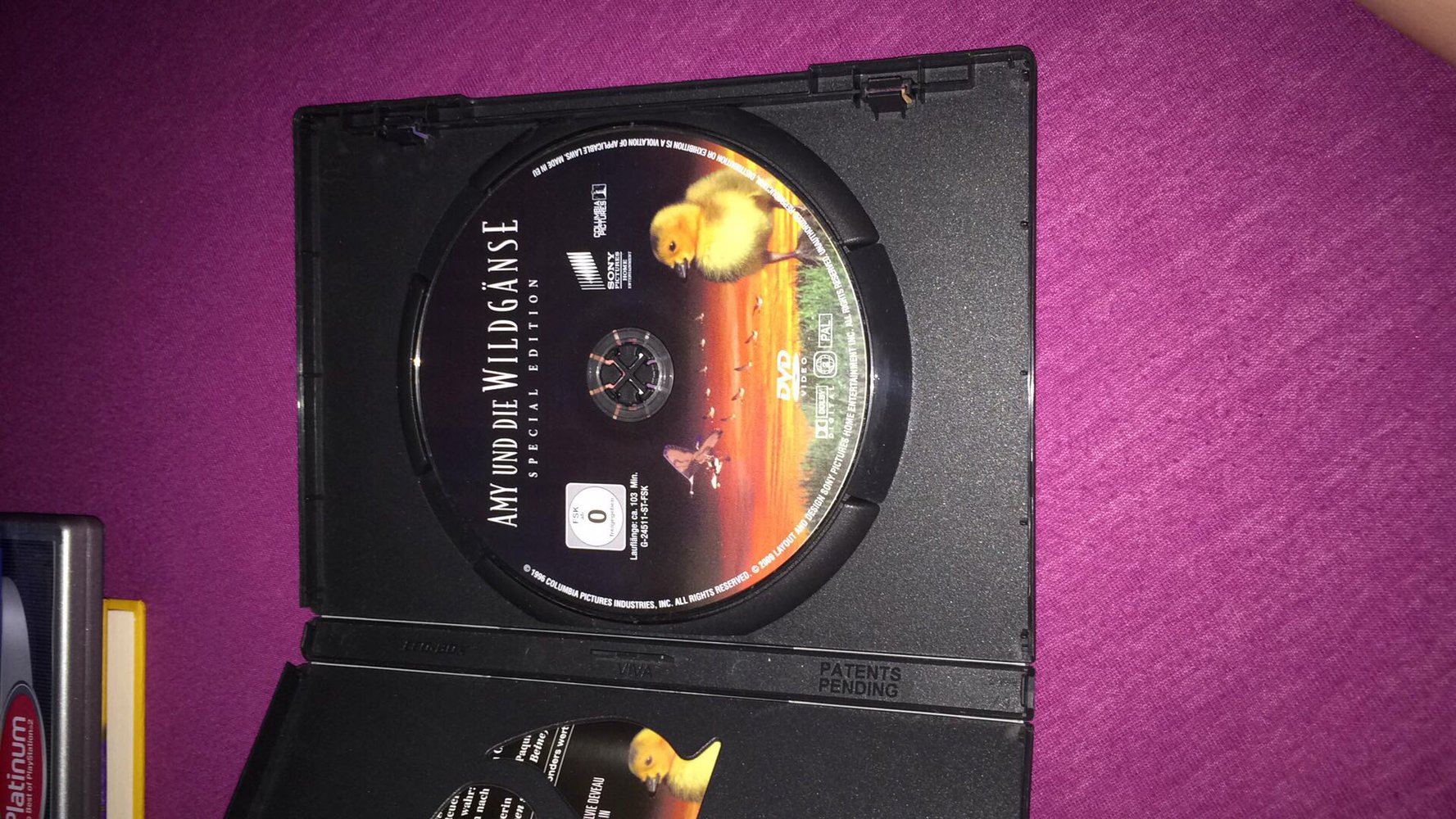 Amy und die Wildgänse dvd 