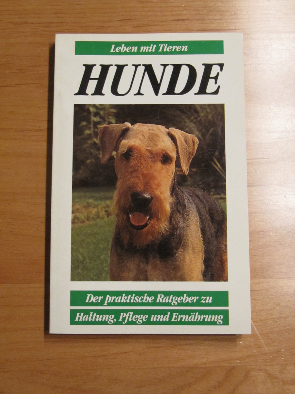 Leben mit Tieren Ratgeber Hunde