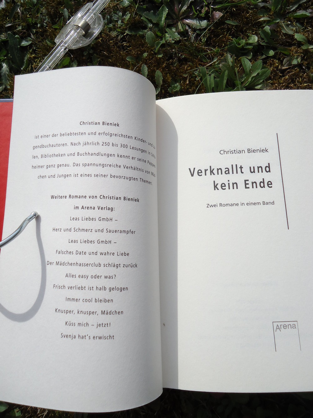 Verknallt und kein Ende von Christian Bieniek (Autor) 