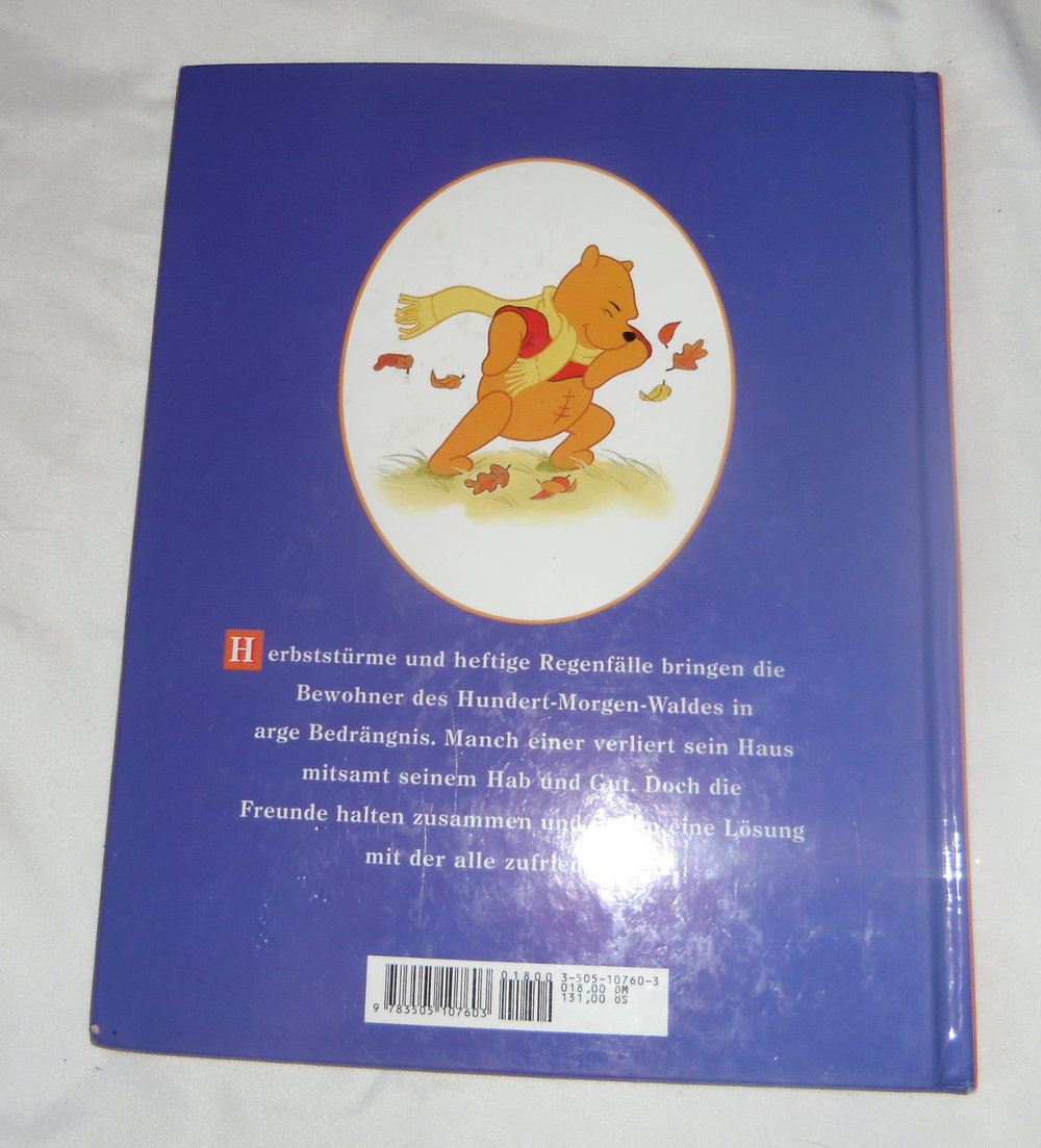 Winnie Puuh-eine stürmische Geschichte