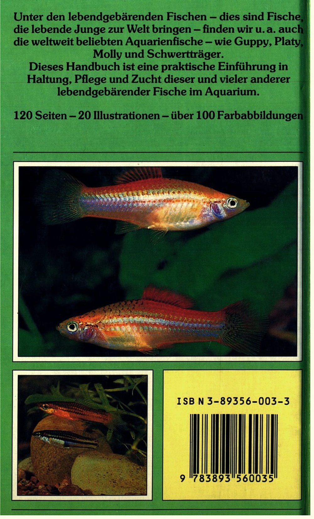 Lebendgebärende Fische - Pflege und Zucht