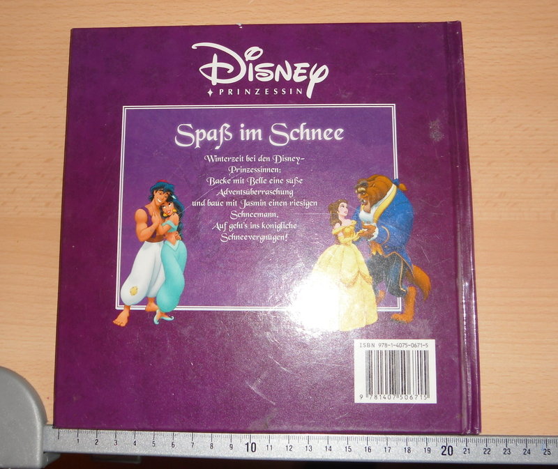 Buch - Disney Prinzessinnen im Schnee