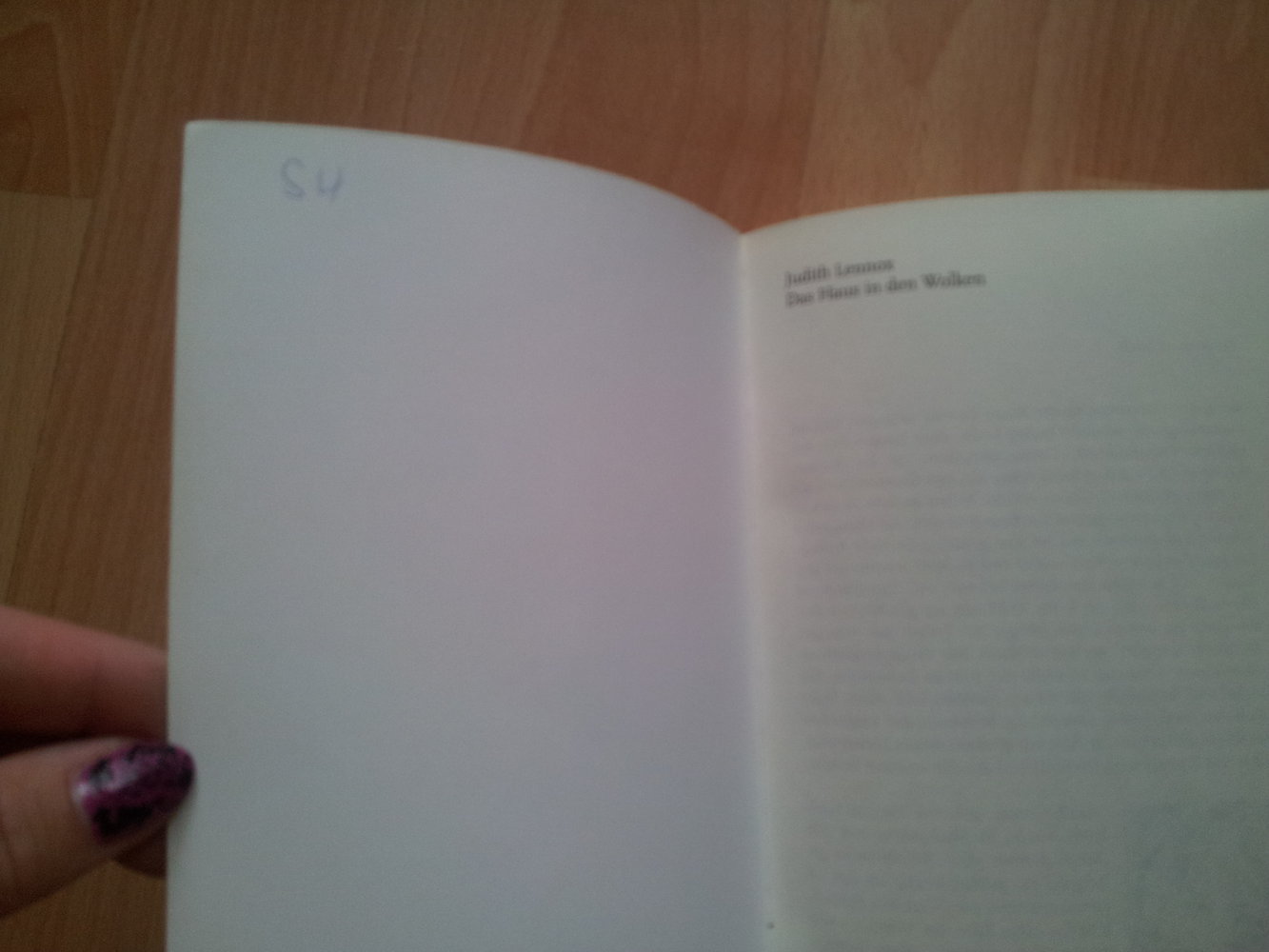 Das Haus in den Wolken - Judith Lennox