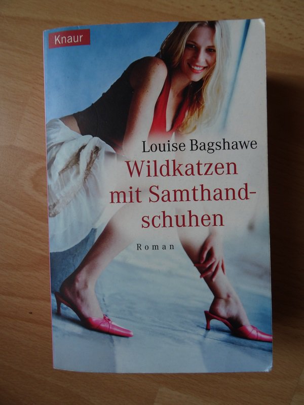 Wildkatzen mit Samthandschuhen - schöner Roman