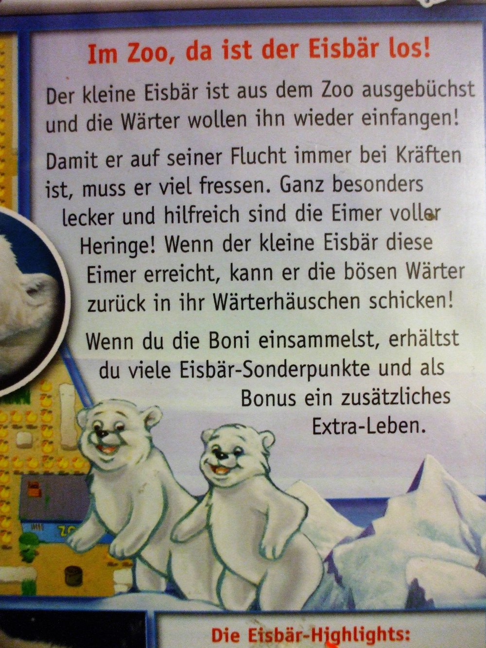 Eisbär