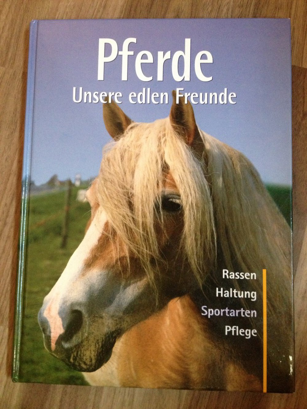 Pferde – unsere edlen Freunde