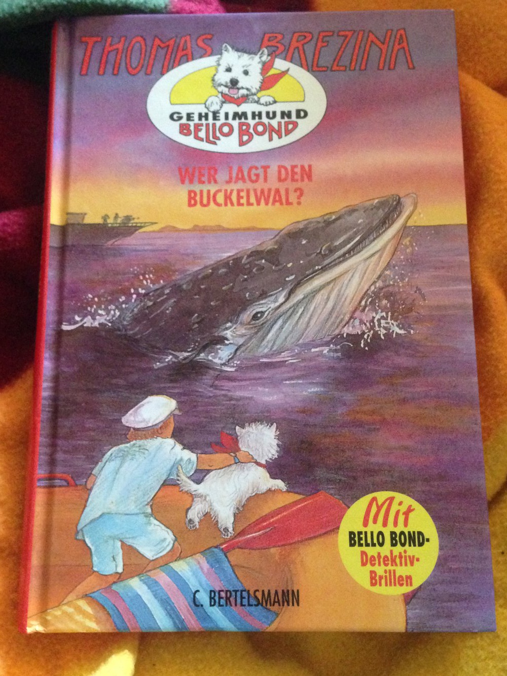 Wer jagt den Buckelwal?