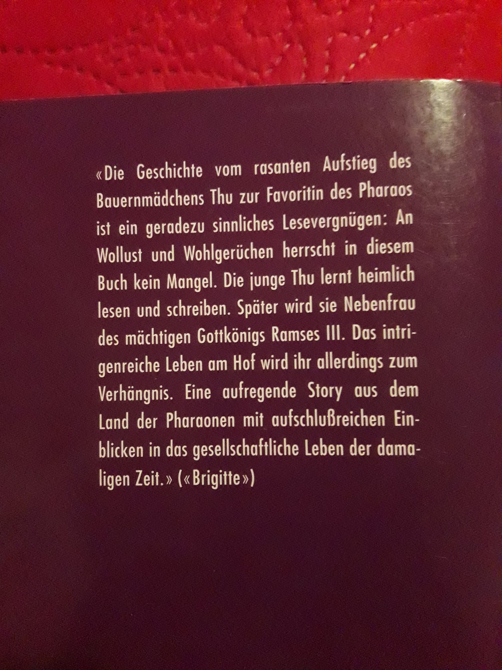 Das Mädchen Thu und der Pharao