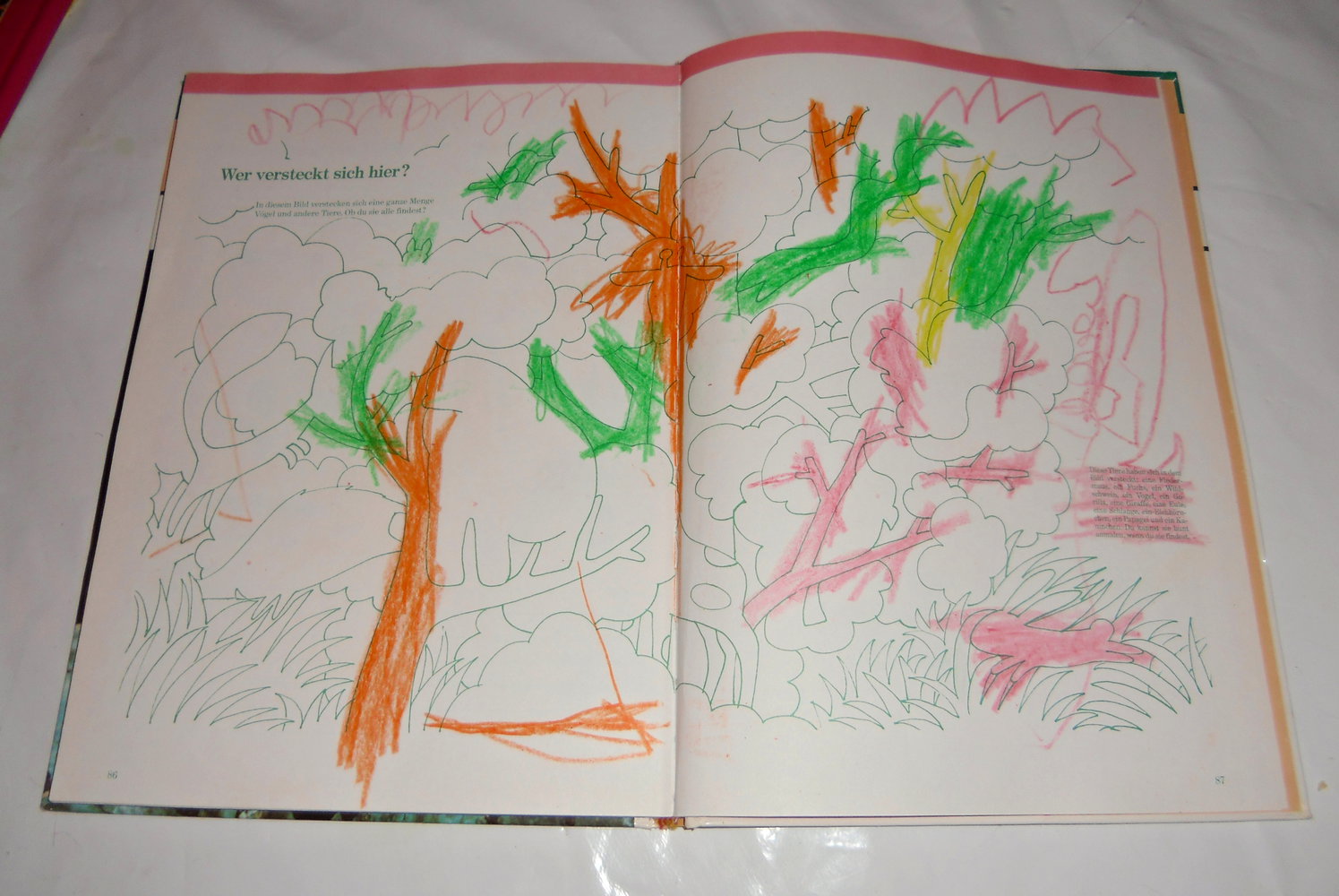 TIME-LIFE Kinder-Bibliothek-Die Welt der Tiere